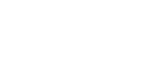 Directio Consultores
